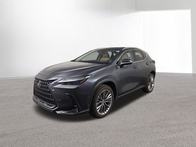 2025 Lexus NX LUXURY AWD