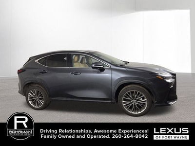 2025 Lexus NX LUXURY AWD