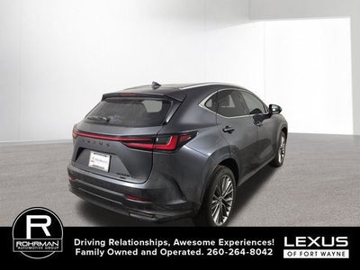 2025 Lexus NX LUXURY AWD