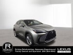 2026 Lexus NX LUXURY AWD