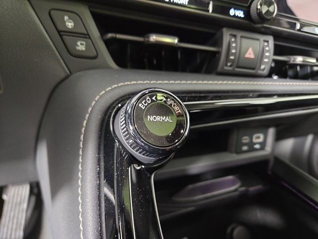 2026 Lexus NX LUXURY AWD