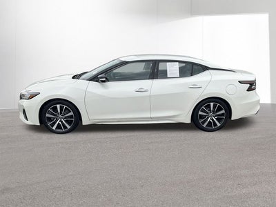 2023 Nissan Maxima SV