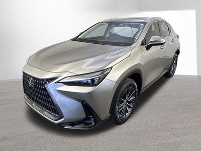 2023 Lexus NX 350 Premium