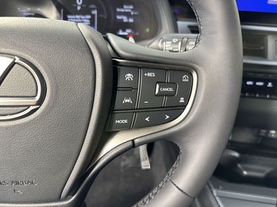 2025 Lexus UX 300h F SPORT Design