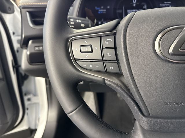 2026 Lexus UX 300h Premium