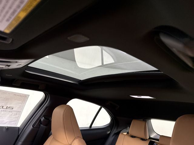 2026 Lexus UX 300h Premium