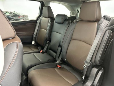 2026 Honda Odyssey Elite