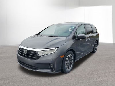 2023 Honda Odyssey EX-L